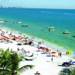 article image - 